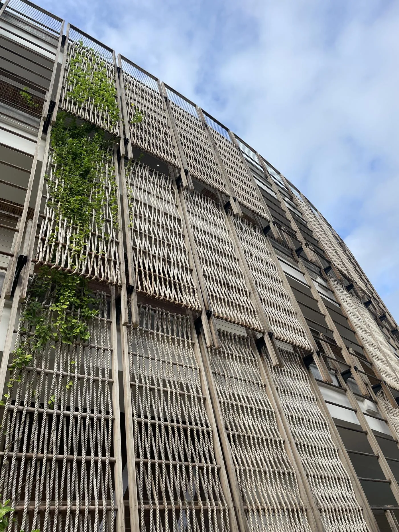 Climbing vegetation on the screen facade