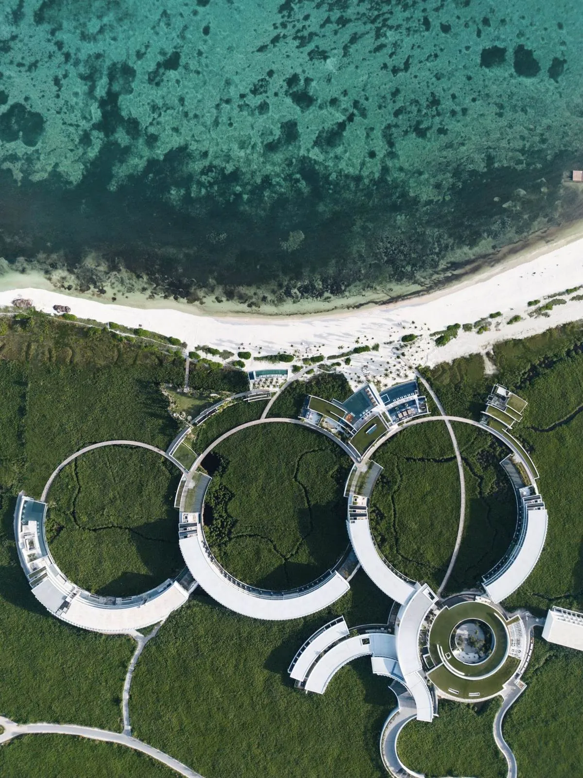 Circular Rings Meet the Reef